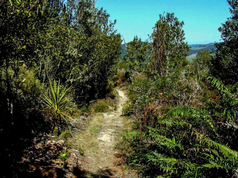 Rainbow Mountain Reserve Walk