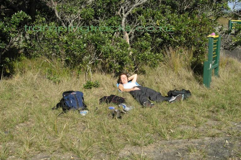 Relaxing at Mackenzie Bay on the Rangitoto Island walk