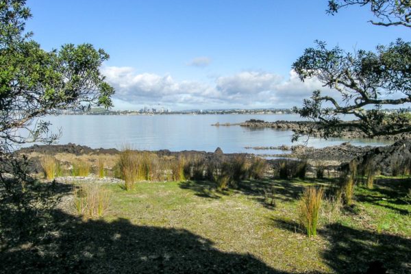 Rangitoto Island Track and Summit Walk