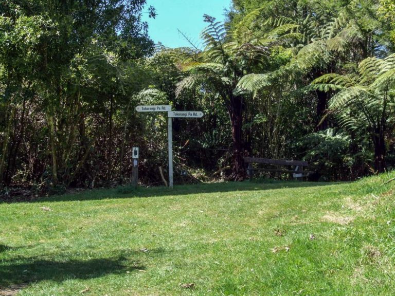 Walk back onto Tokorangi Pa Road