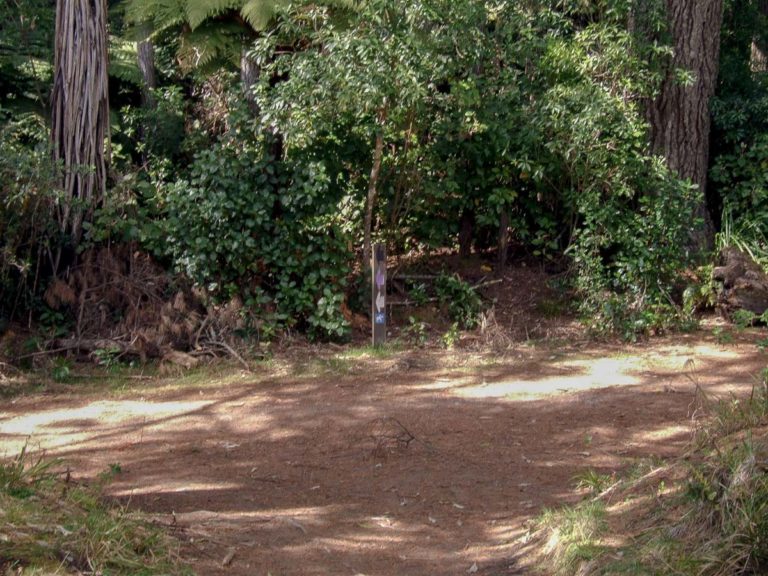 Turn off to Tokorangi Rd