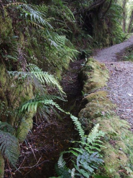 Ross Water Race walkway