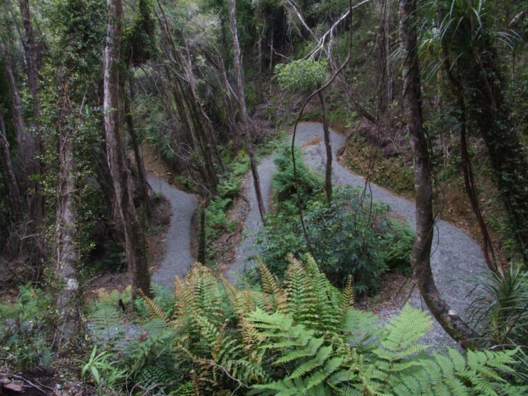 Ross Water Race walkway