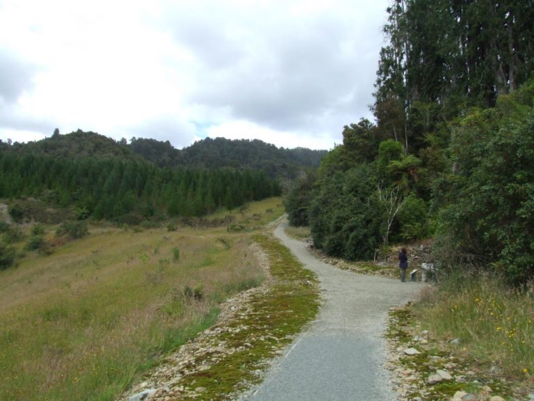 Water Race Track Walk, Ross