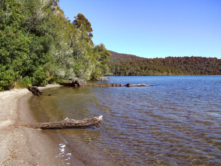 Lake Rotopounamu Walk
