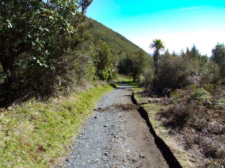 Lake Rotopounamu Walk