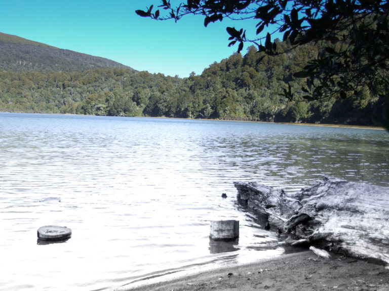Lake Rotopounamu Walk