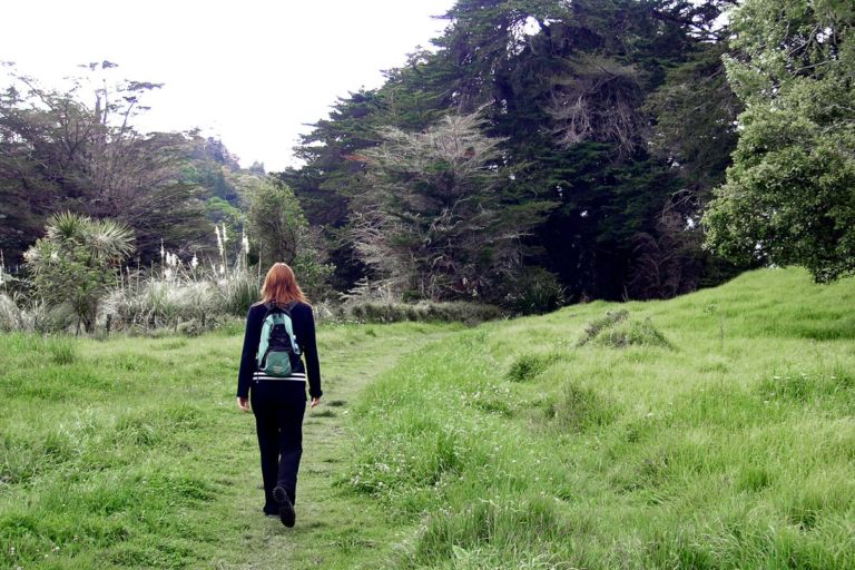 Short walk across farm land