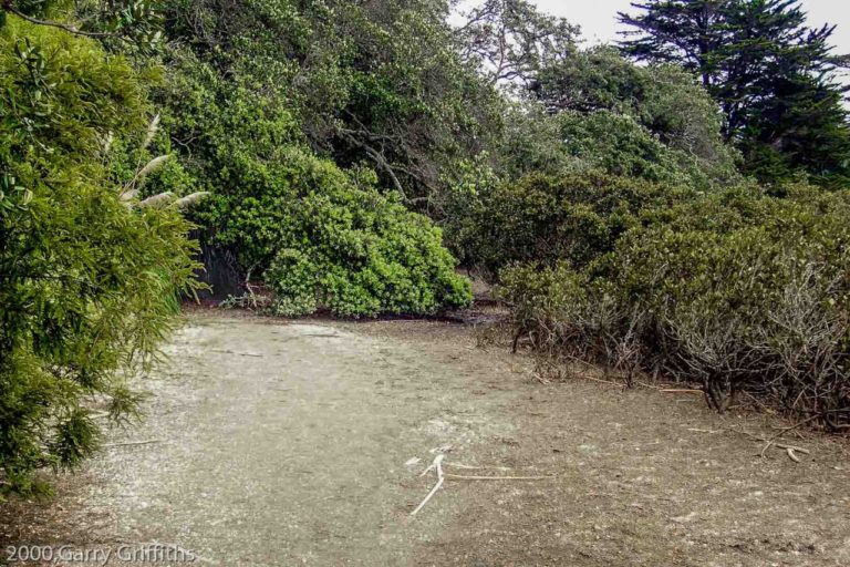 Start of the short beach walk