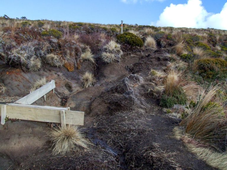 Tama Lakes Walk, Ruapehu