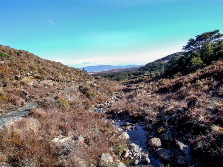 Tama Lakes Walk, Ruapehu