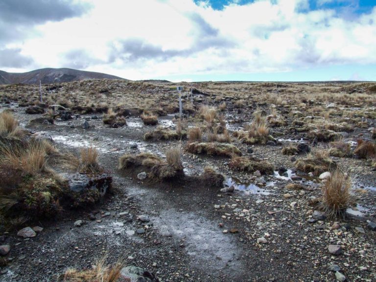 Tama Lakes Walk, Ruapehu