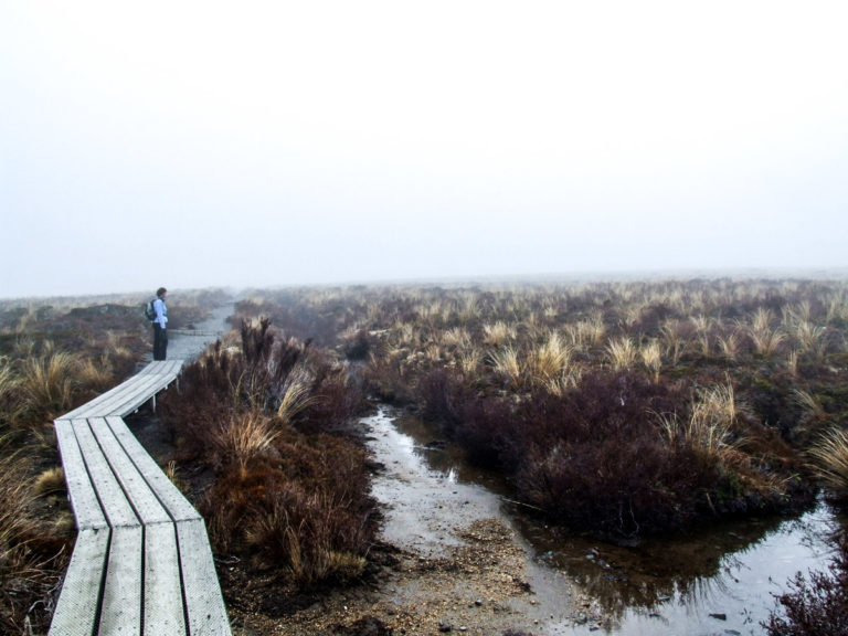 Tama Lakes Walk, Ruapehu