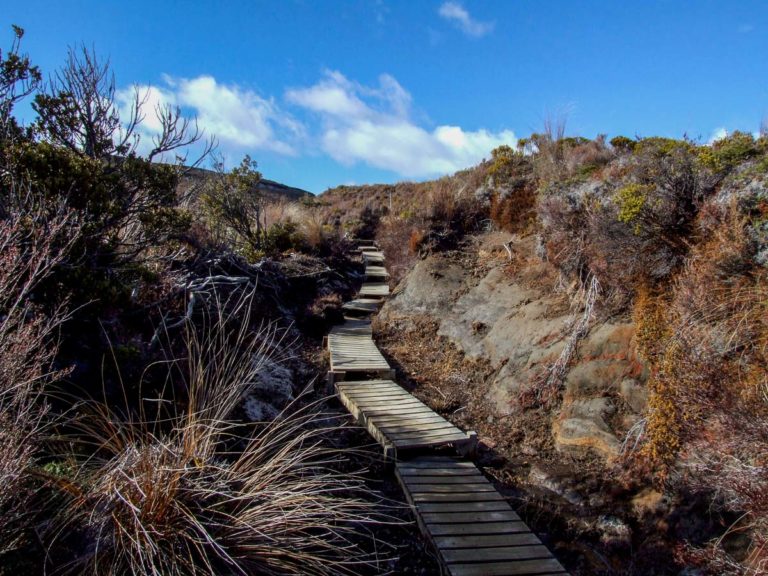 Tama Lakes Walk, Ruapehu