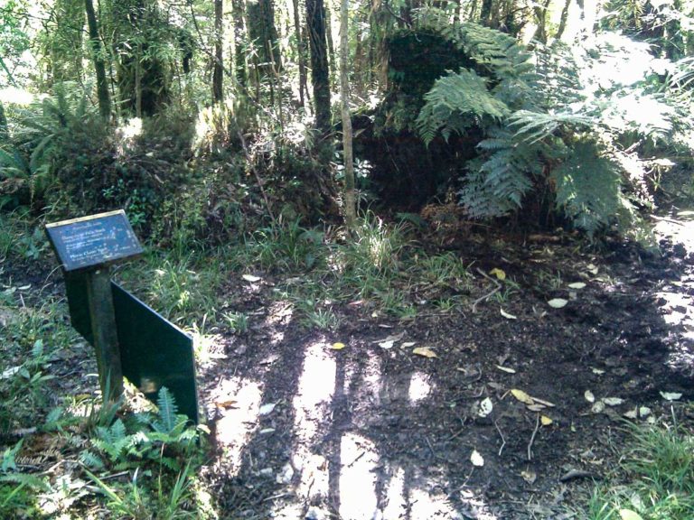 Start of the new track