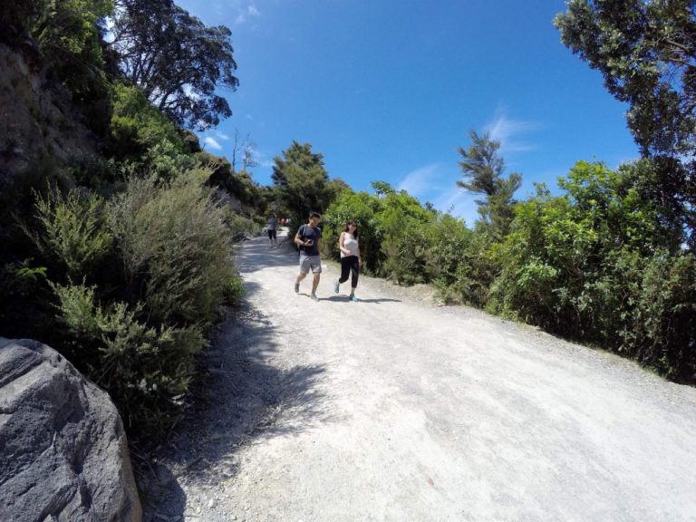 Mt Maunganui Summit Track - Point 4