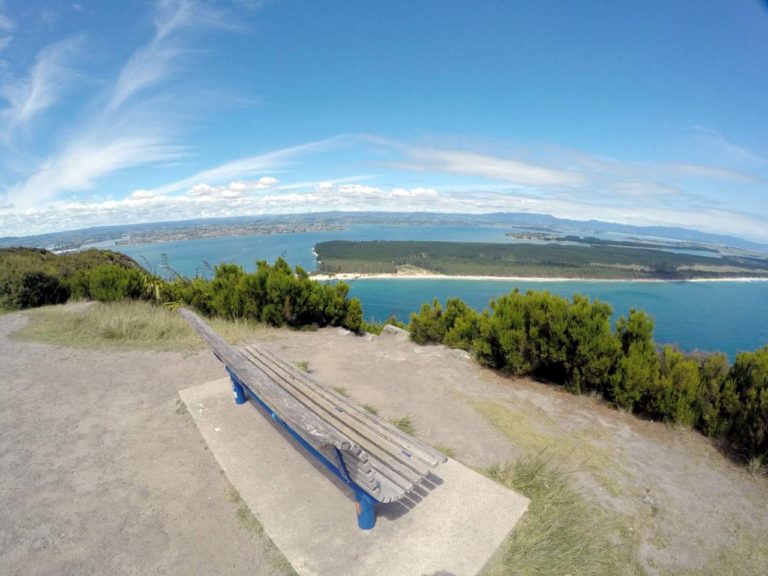 Mt Maunganui Summit Track - Point 4