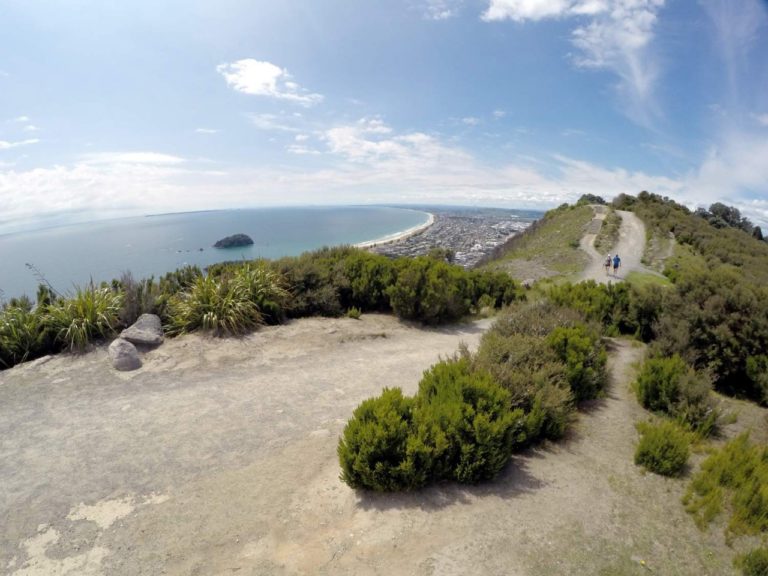 Mt Maunganui Summit Track - Point 5