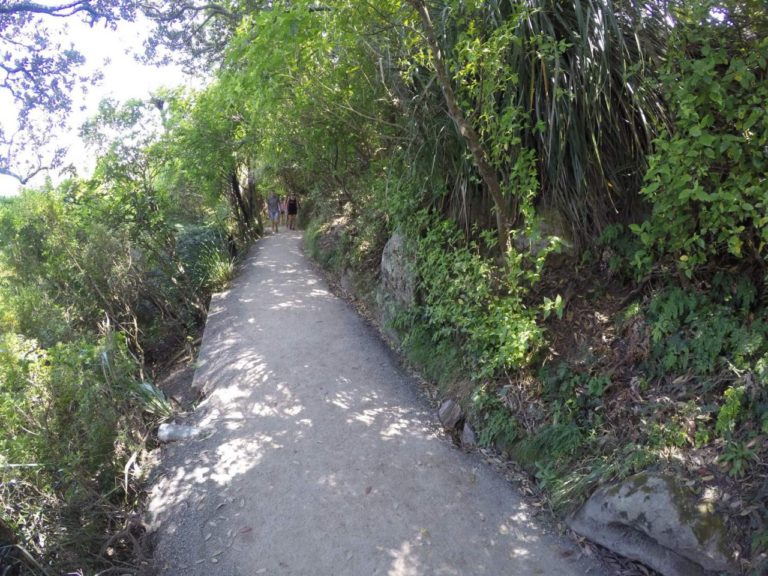 Mt Maunganui Summit Track - Point 6