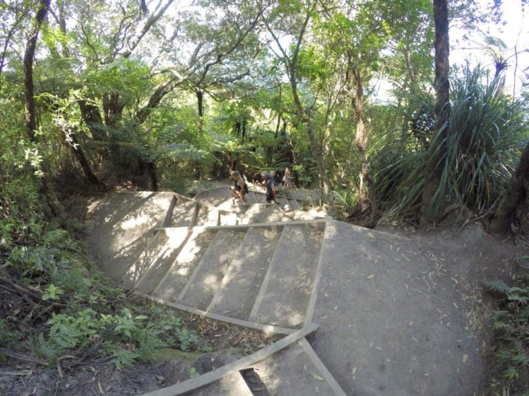Mt Maunganui Summit Track - Point 6