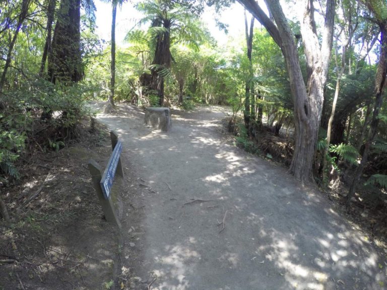 Mt Maunganui Summit Track - Point 6