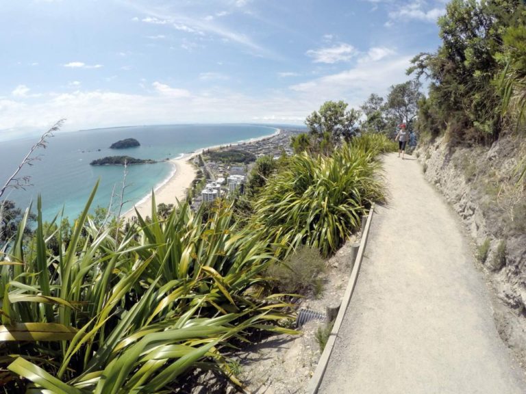 Mt Maunganui Summit Track - Point 7
