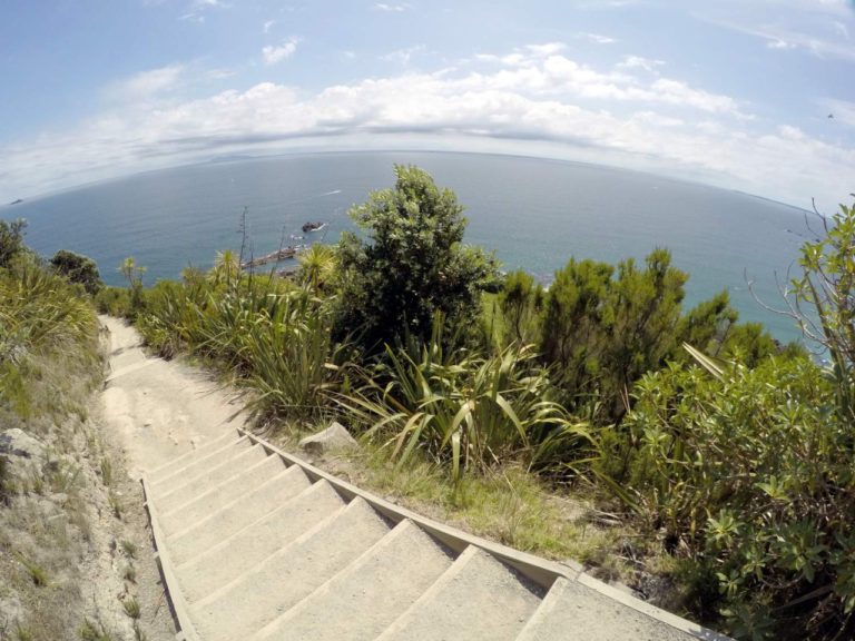 Mt Maunganui Summit Track - Point 7