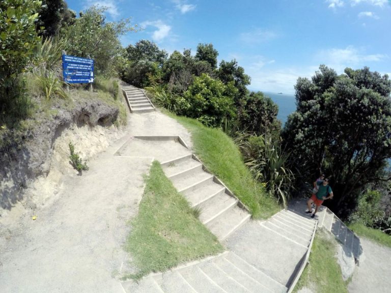 Mt Maunganui Summit Track - Point 7