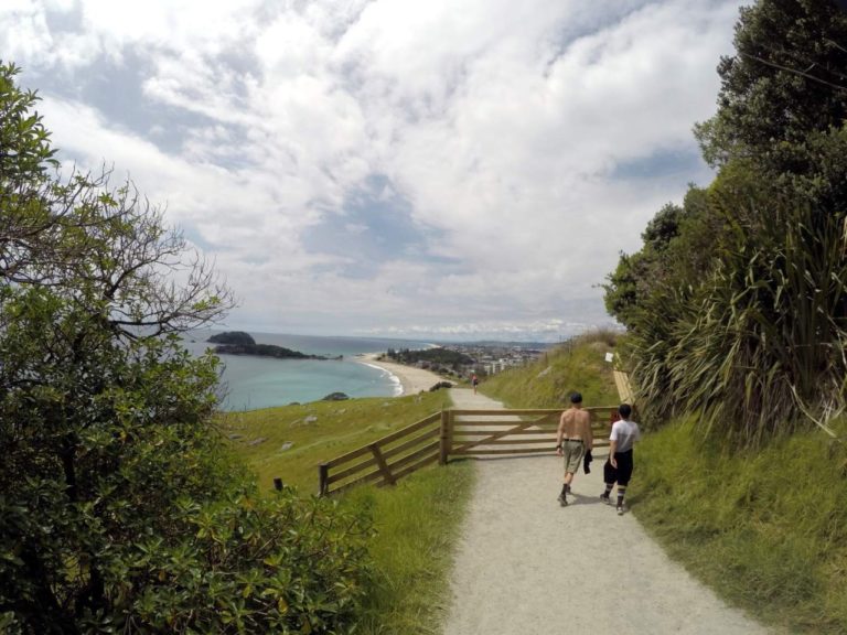 Mt Maunganui Summit Track - Point 8