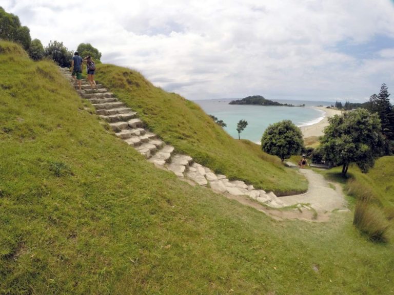 Mt Maunganui Summit Track - Point 9