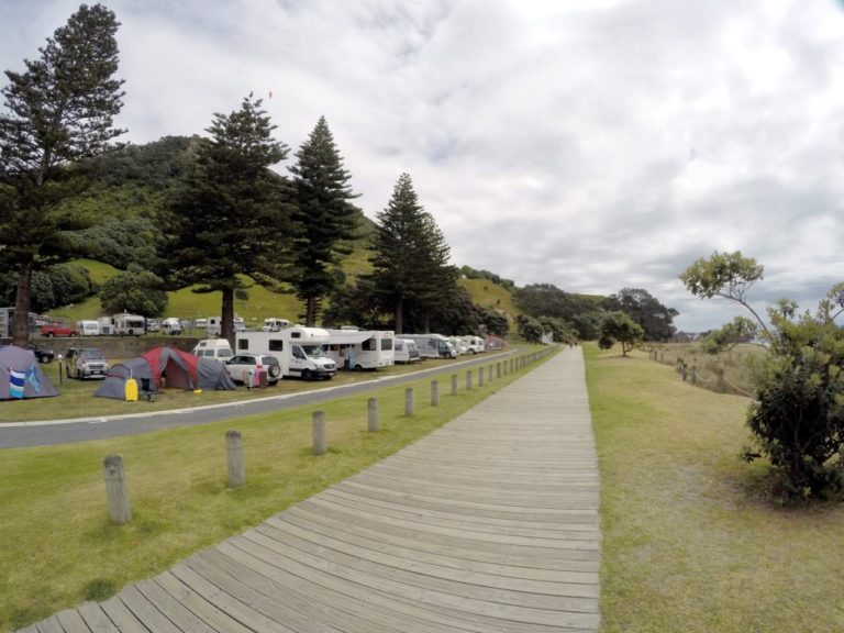 Mt Maunganui Summit Track - Point 9