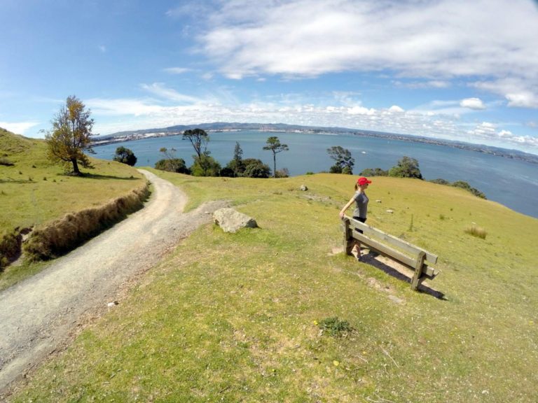 Mt Maunganui Summit Track - Point 2