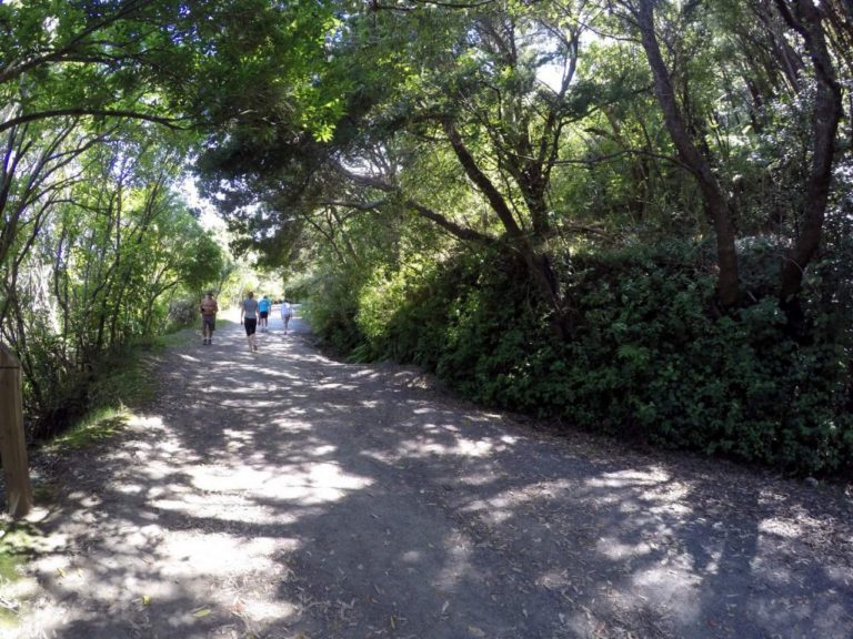 Mt Maunganui Summit Track - Point 3