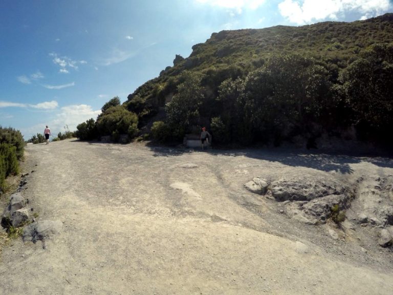 Mt Maunganui Summit Track - Point 3