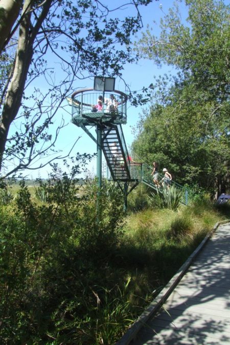 Travis Wetlands Walk Travis Tower