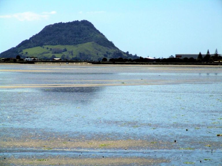 Looking at Mt Maunganui