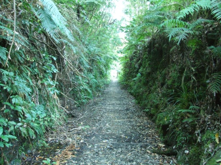 Waitawheta River Tram Track