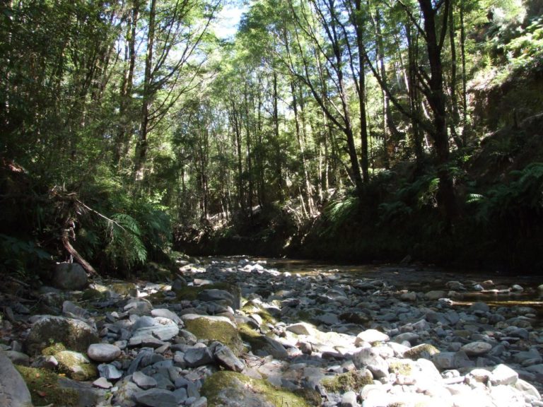 Side Creek