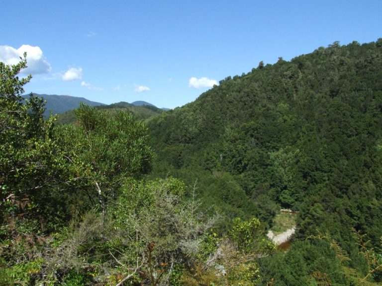Looking down to Snowy River