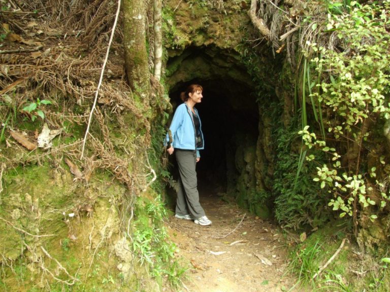 Old Gold Mine