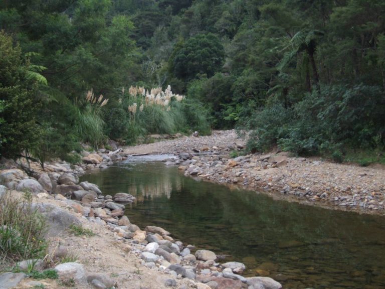 Wentworth River
