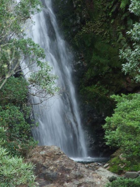 Wentworth Falls
