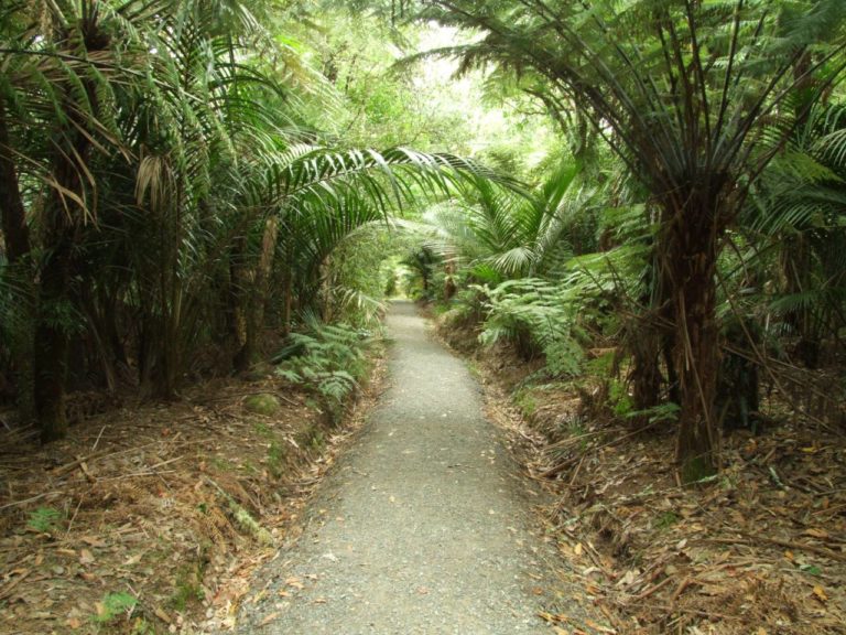Start of the Wentworth Falls Walk