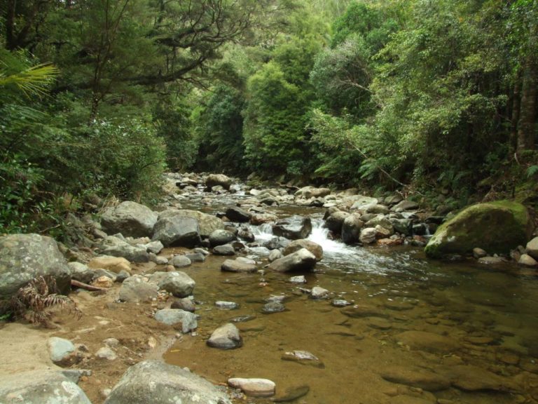Wentworth River