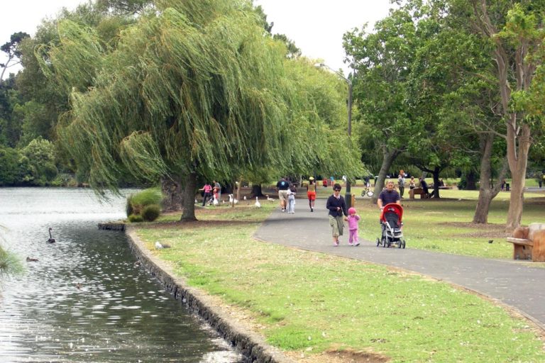 Good quality walking track around Western Springs Park