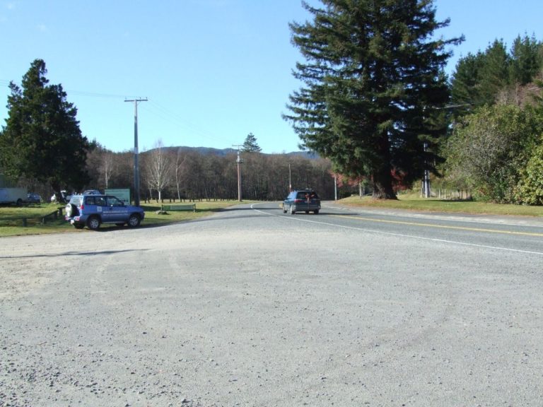 Whakarewarewa Forest, 8 mile