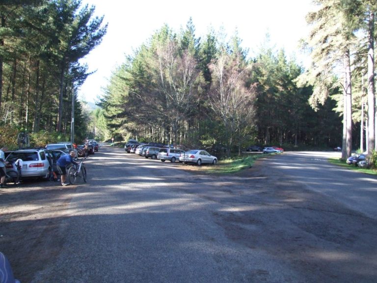 Whakarewarewa Forest, 8 mile