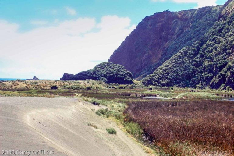 Swamp on both sides of the sand hill