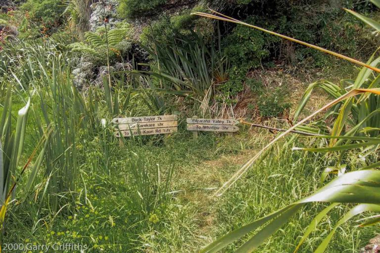 Turn off from Muir track to the beach