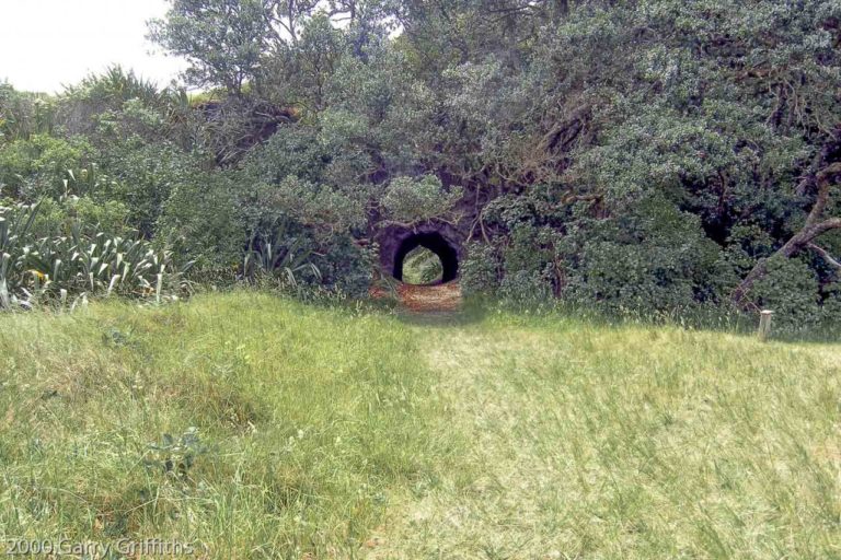 Walk through the tunnel